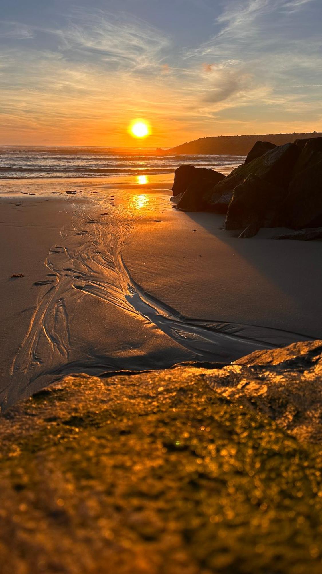 Forest Terrace Praia De Mira Exteriör bild